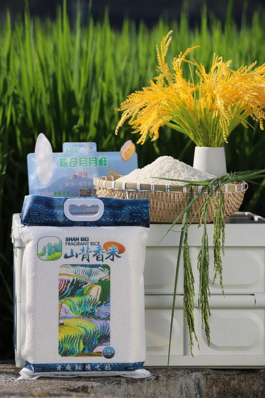 奥谱隆山背香米 高山梯田 传统耕种 山泉灌溉 商品图6