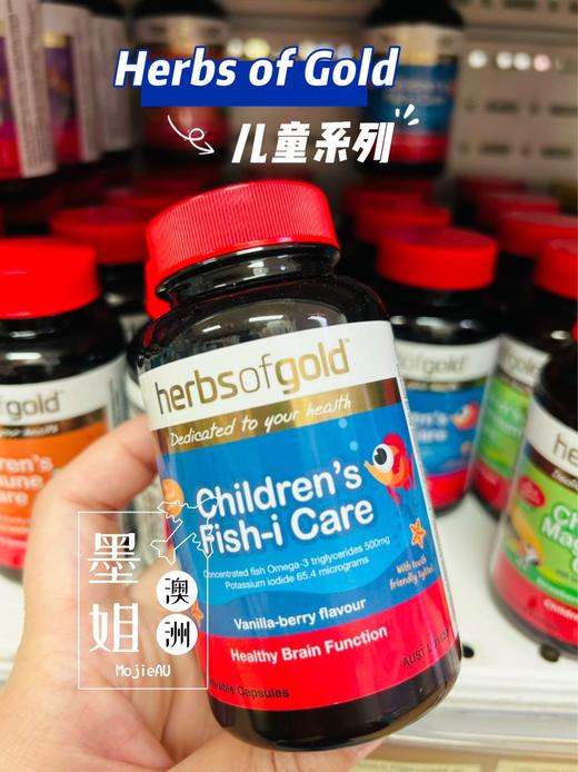 Herbs of Gold和丽康儿童系列维生素镁多动鱼油免疫力 商品图4
