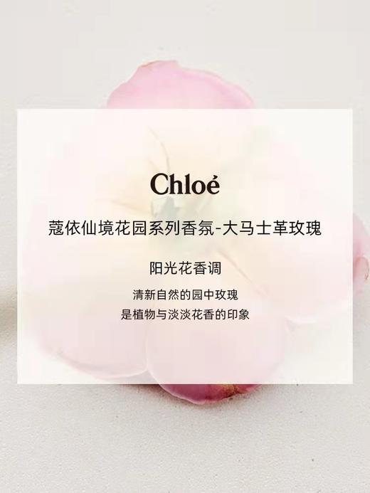 【门店直发】蔻依香水小样    烟雨茉莉/大马革玫瑰/北国雪松/木兰诗语 商品图5