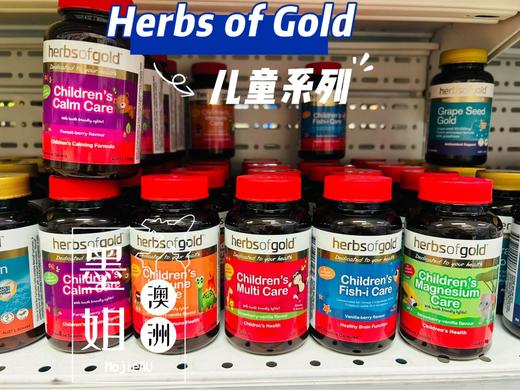 Herbs of Gold和丽康儿童系列维生素镁多动鱼油免疫力 商品图0