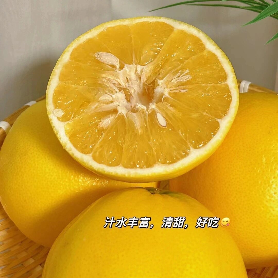 【黄金葡萄柚】手剥爆汁的葡萄柚，晶莹的果肉蓄满了汁水，柔嫩的入口即化，滋味清甜，只为口感佳的时候上架，乍一看像橙子，却颗粒分明，散发着柚子幽香~