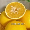 8.5斤装【葡萄柚】福建漳州产地，手剥爆汁的葡萄柚，晶莹的果肉蓄满了汁水，柔嫩的入口即化，滋味清甜，只为口感佳的时候上架，乍一看像橙子，却颗粒分明，散发着柚子幽香~ 商品缩略图6