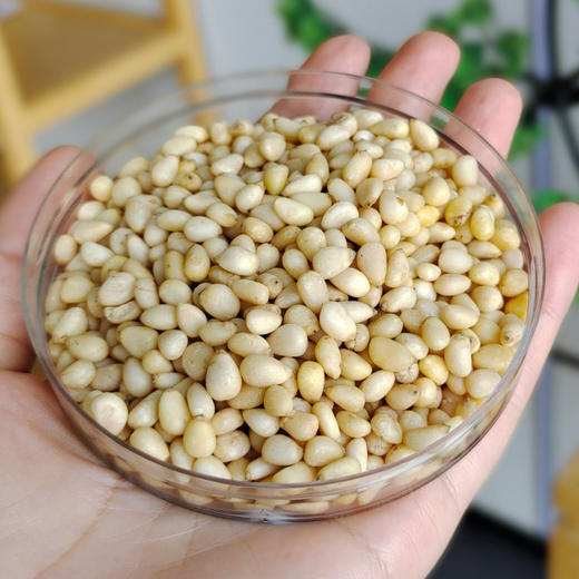 有机野生松仁 2罐（200g/罐） 商品图4
