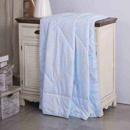 多喜爱 夏凉被子亲肤磨绒叶叶细雨229x203cm 商品图0