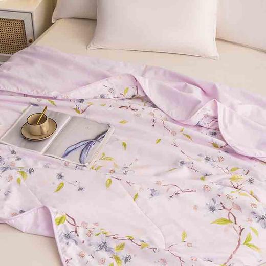 多喜爱 夏凉被子亲肤磨绒素曦152x218cm 商品图4