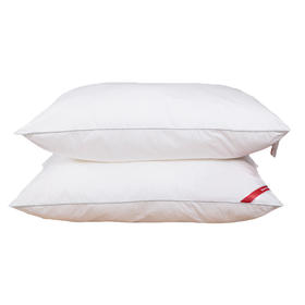 多喜爱 轻柔双芯枕枕头74x48cm