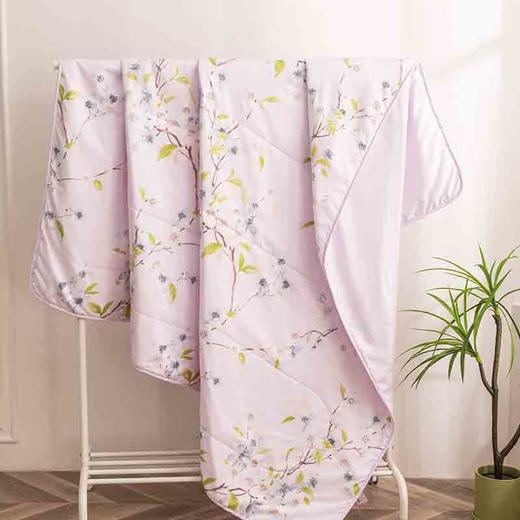 多喜爱 夏凉被子亲肤磨绒素曦152x218cm 商品图3