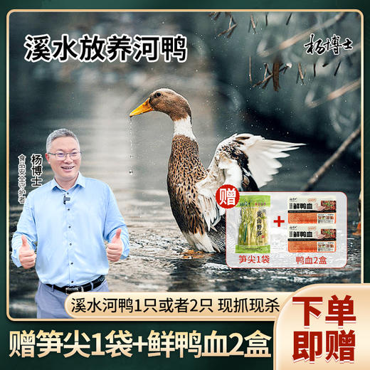 【皖南土鸭】杨博士溪水放养河鸭500天老鸭 A-3459 商品图1