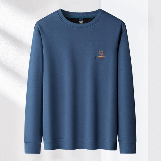 【加绒加厚】含桑蚕丝卫衣男加绒卫衣男绣花胸标男士卫衣男卫衣 商品图1