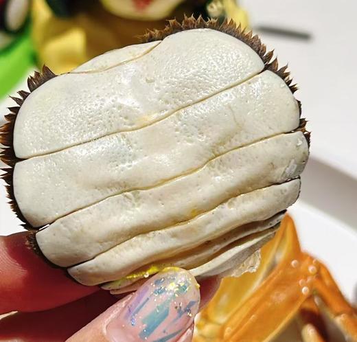 【门店发售】江苏精品湖大闸蟹直供（母蟹2.2-2.8两） 商品图1