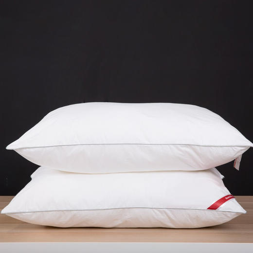 多喜爱 轻柔双芯枕枕头74x48cm 商品图2