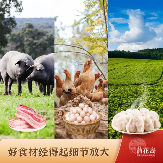 【到手3袋】蒲花岛野菜水饺 300g/袋 食材新鲜 营养美味 多种做法 商品图6