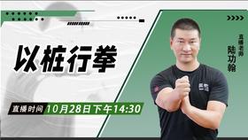 【10月28日】以桩行拳
