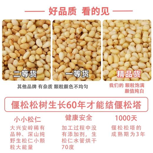 有机野生松仁 2罐（200g/罐） 商品图7