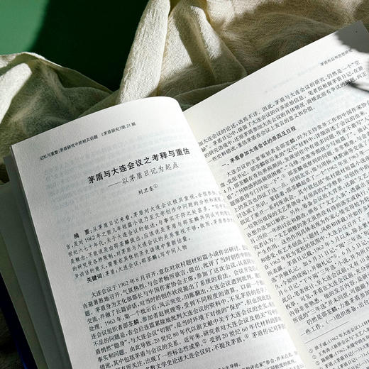 《茅盾研究》第21辑 记忆与重塑:茅盾研究中的相关话题 商品图2