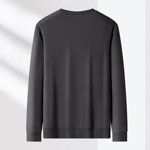 【加绒加厚 蚕丝混纺】罗蒙秋冬男装保暖卫衣男加绒卫衣绣花胸标卫衣男打底T恤 商品图3