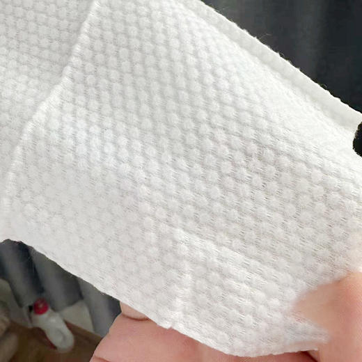 【10.27积分当钱花】俪纳斯一次性珍珠纹洁面巾25抽*10袋（效期至25.5） 商品图2