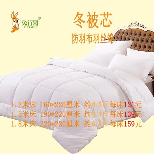 冬被芯 商品图0