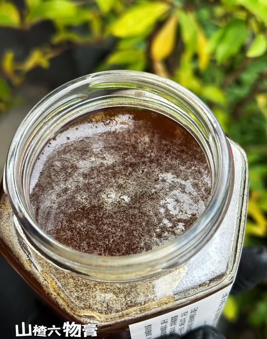 山楂六物膏（480毫升） 商品图1