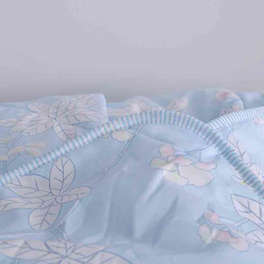 多喜爱 夏凉被子亲肤磨绒叶叶细雨229x203cm 商品图2