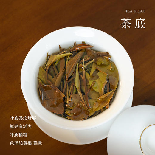 懂茶帝福鼎白茶老林家-2023年寿眉散茶250g 商品图3