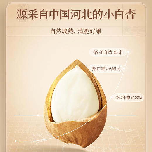 【99元任选18件】随心装坚果_小白杏核/++/计量称重（DY）*3袋 商品图1