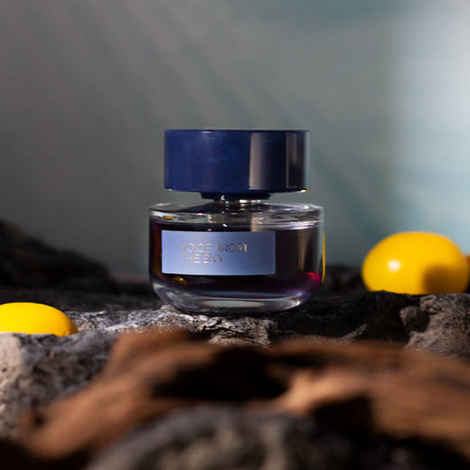 天乐 同名 Voice From The Sky Voice From The Sky 分装 【带着静谧沉静的清冷焚香】 商品图1