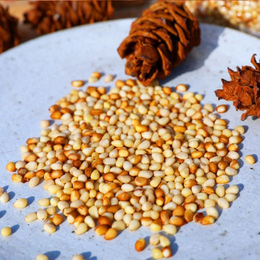 有机野生松仁 2罐（200g/罐） 商品图3