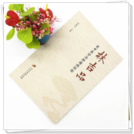 林吉品老中医诊治肿瘤病经验 孙映可 主编 中国中医药出版社 中医临床 书籍 商品图1