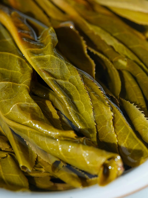 【限量加赠 汝窑杯】【积分兑换】【积分兑换价：199+100积分】【四大美女】一套喝遍四种名山口感，"沉鱼、落雁、闭月、羞花"致敬中国经典画作遗迹，2016年头春古树茶，一套内含4饼*357克茶饼 商品图4