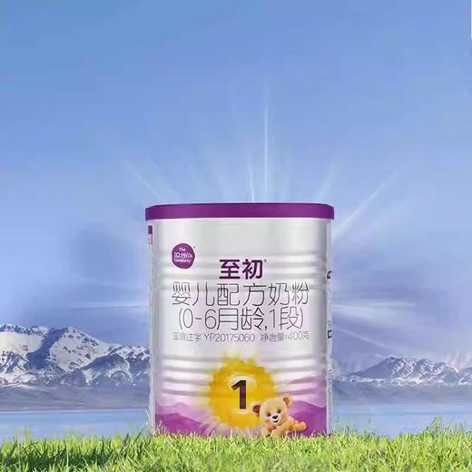 A2至初婴幼儿配方奶粉（0-6月龄，1段）400g 新国标 商品图1