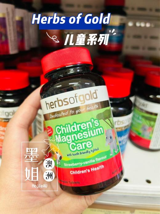 Herbs of Gold和丽康儿童系列维生素镁多动鱼油免疫力 商品图5