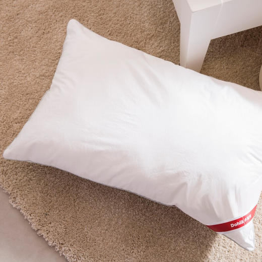 多喜爱 轻柔双芯枕枕头74x48cm 商品图3