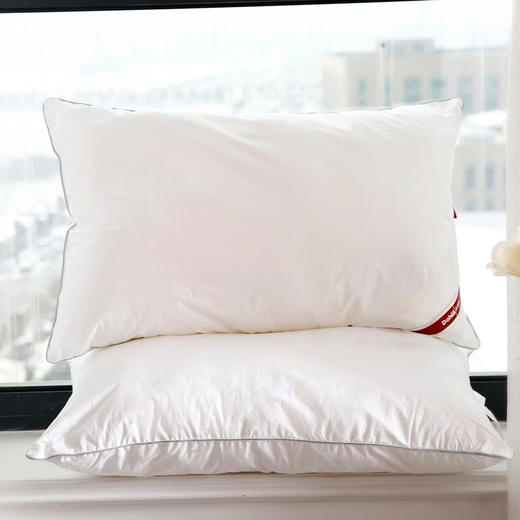 多喜爱 轻柔双芯枕枕头74x48cm 商品图1