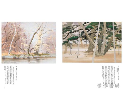 奥村厚一:光の風景画家 / 奥村厚一：光之风景画家 / Okumura Koichi: The Master in Sceneries of Light 商品图2