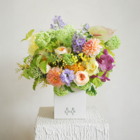 调香诗意 Poetry of Life