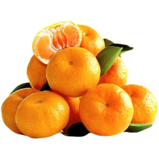 【亚欧商厦】贡桔500g±50g/份 商品图0