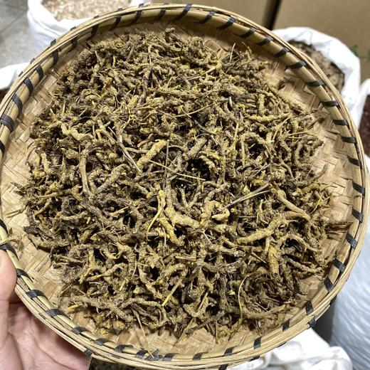 云南黄连，细枝 商品图1
