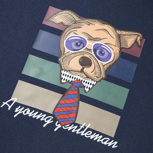 【加绒加厚 蚕丝混纺】罗蒙秋冬加绒卫衣男士时尚休闲潮流印花个性卫衣套头T恤男 商品图6