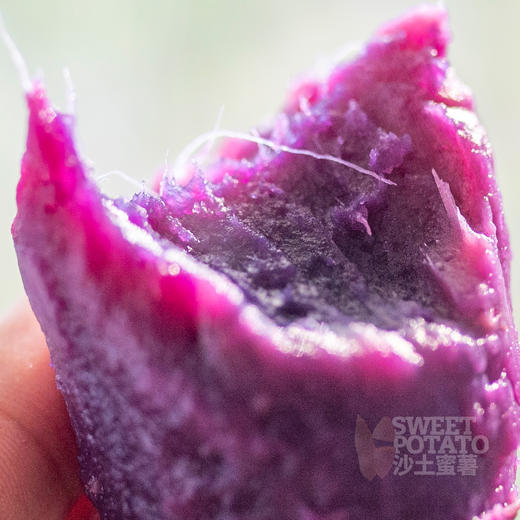 超润不干！山东沙土蜂蜜香紫薯 可蒸可烤  5斤装 中通快递 商品图9