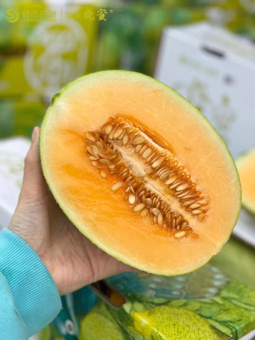 海南胜杰晓蜜🍈脆嫩、香甜！ 商品图0