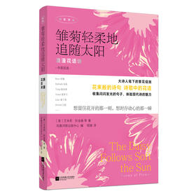 维菊轻柔地追随太阳 浪漫花语诗