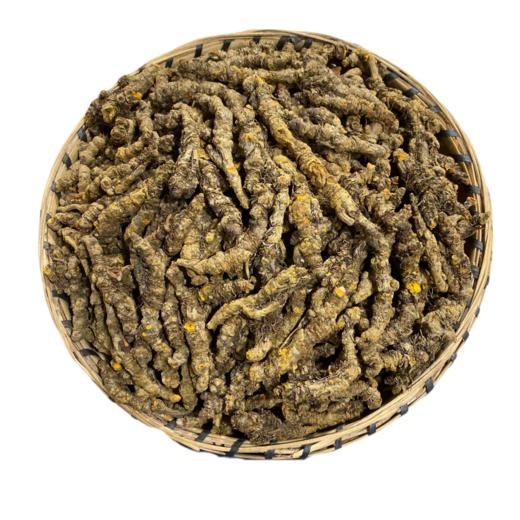 黄连 黄连片 精选出口级精品单支黄连 无泥净货 商品图4