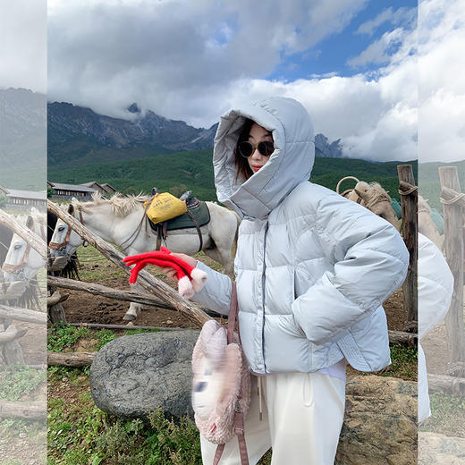 曾小咸推荐>“御寒王者”2色90白鸭绒短款羽绒服外套 日常629.99 立减270 秒杀359.99！！ 商品图3