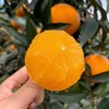 纯甜红美人果冻橙，口感最佳期多送1斤【顺丰发货，爱媛28号，无籽无渣，爆汁无酸，甜度一流，超薄果皮，出汁率满满】 商品缩略图3
