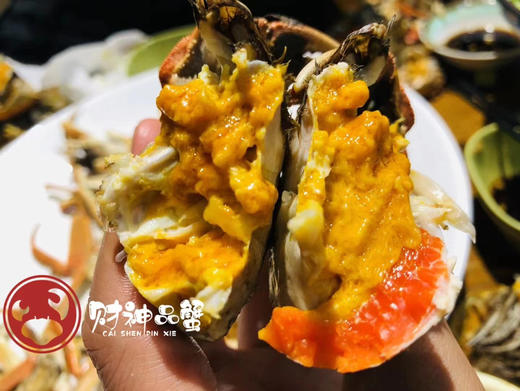 财神品蟹 当天下午4点前下单，产地直发，第二天顺丰到家，江浙沪包邮，外地运费补差！ 商品图5