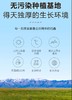 产地直发！自产自销新疆红枣5斤家庭实惠装 皮薄核小味甜若羌灰枣 新疆一级大红枣 商品缩略图4