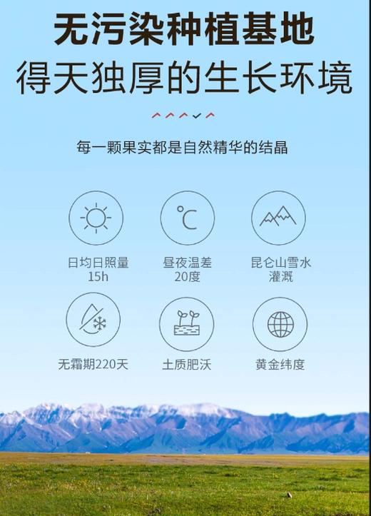 产地直发！自产自销新疆红枣5斤家庭实惠装 皮薄核小味甜若羌灰枣 新疆一级大红枣 商品图4