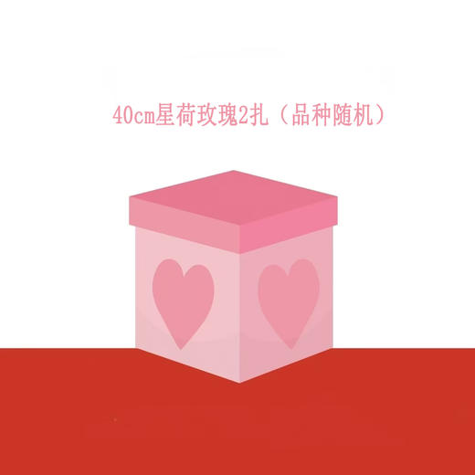 【抽奖链接】40cm星荷玫瑰2扎，品种随机 商品图0