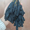 （带枝干）美人指超特级蓝宝石葡萄干 新疆吐鲁番产区 新疆直发 商品缩略图3